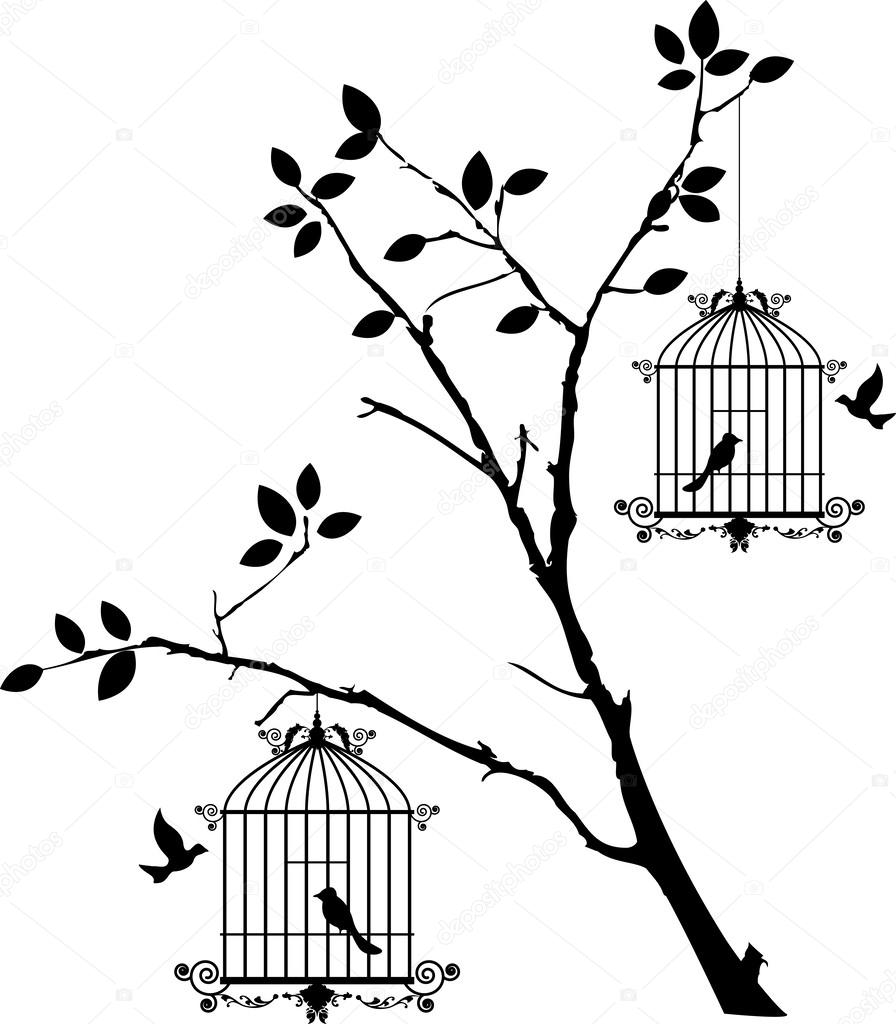 My Image 18