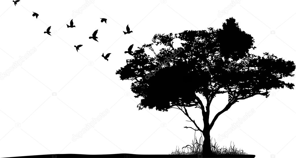 Treesilhouette with birds flying