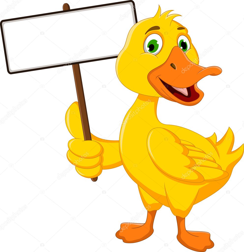 Funny duck cartoon holding white board