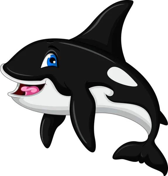 Killer whale cartoon — Stock Vector