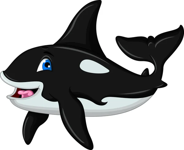 Killer whale cartoon — Stock Vector