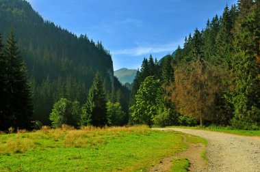 Lehçe dağlar tatry vadide