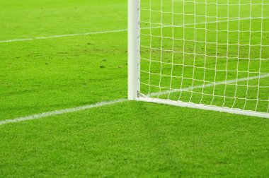 gol ağı
