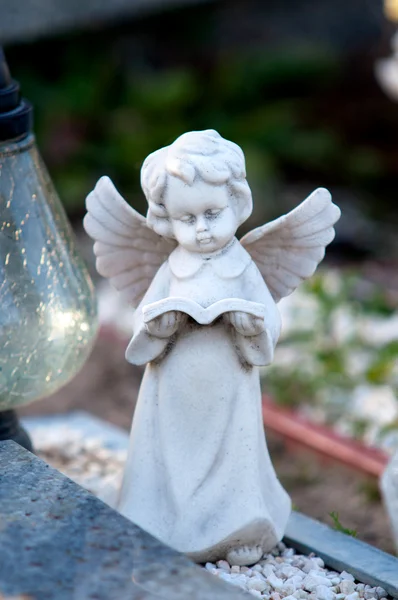 Küçük melek — Stok fotoğraf