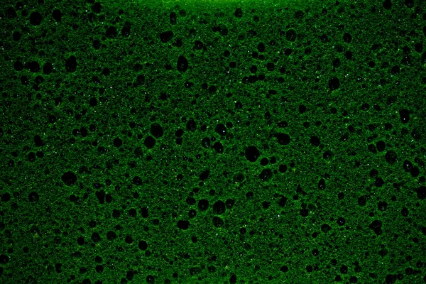 Green sponge background — Stock Photo, Image