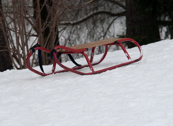 金属雪橇 — 图库照片
