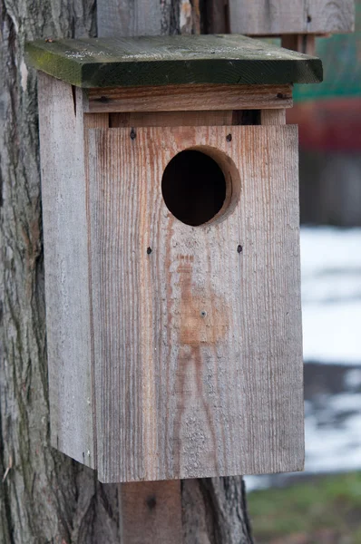 Casa para los pájaros en el árbol —  Fotos de Stock