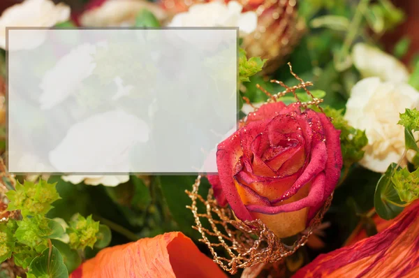 Rosas e cartão vazio com espaço para o seu próprio texto — Fotografia de Stock