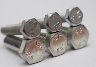 Beyaz arkaplanda vida