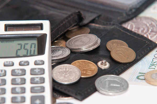 Polnisches Geld - Zloty, Banknoten, Münzen, Taschenrechner und Geldbörse — Stockfoto