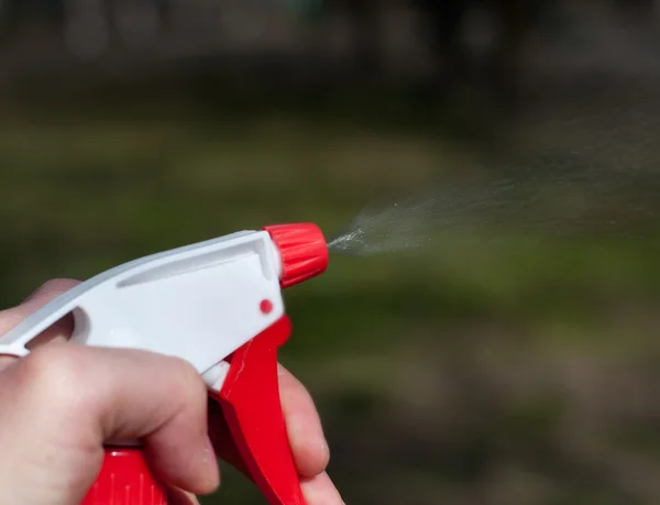 Sprinkling water sprayer in hand — Stock Photo, Image