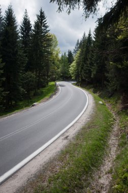 Forest Road