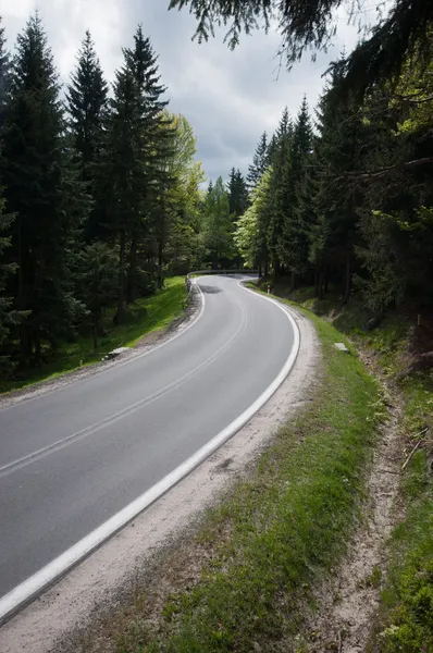 Carretera en bosque — Foto de Stock