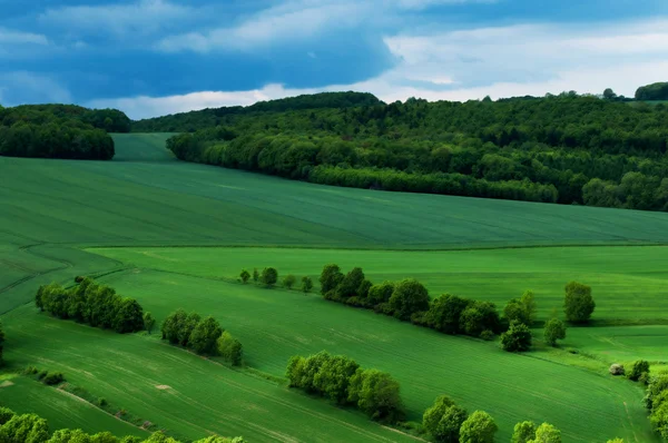Zielone krajobrazy krajobraz pól wiosną pod pojęcia pochmurnego nieba — Zdjęcie stockowe