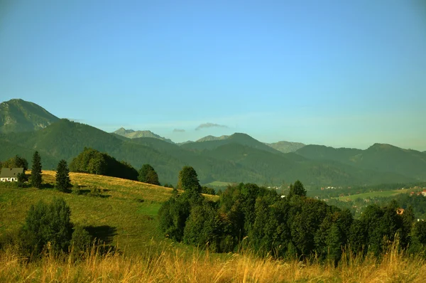 Vue panoramique du paysage typique de Tatra, Pologne — Photo