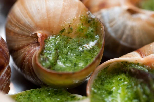 Primer plano de Escargots con mantequilla de ajo — Foto de Stock