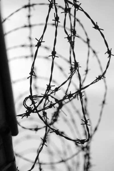 Barbed wire on dark fence — Stock Photo, Image