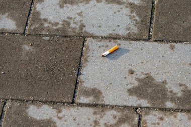 cigarette butt on the sidewalk in the city, rubbish