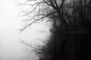 Arka planda orman olan donmuş bir göl, sislerin arasında zayıf görüş mesafesi, siyah ve beyaz.