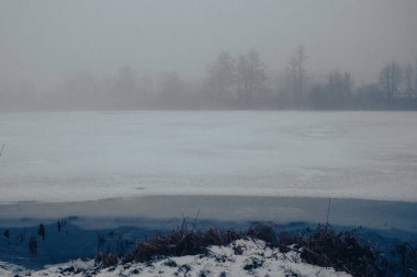 Arka planda orman olan donmuş bir göl. Sis yüzünden görüş mesafesi zayıf.