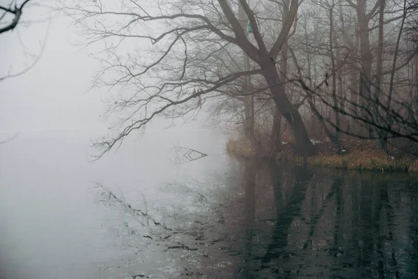 Zugefrorener See Mit Wald Hintergrund Schlechte Sicht Durch Den Nebel — Stockfoto