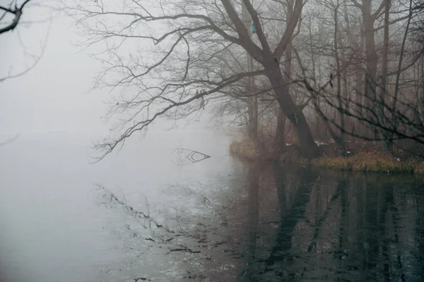 Frusen Sjö Med Skog Bakgrunden Dålig Sikt Genom Dimman — Stockfoto