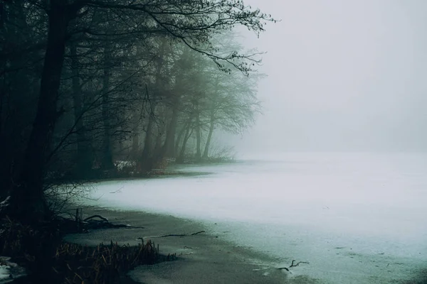 Frozen Lake Forest Background Poor Visibility Fog Vintage Effect — Stock Photo, Image