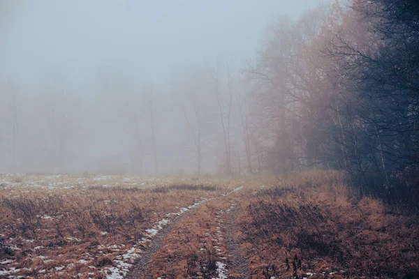 Полевая Дорога Зимой Туман Деревья Вдали — стоковое фото