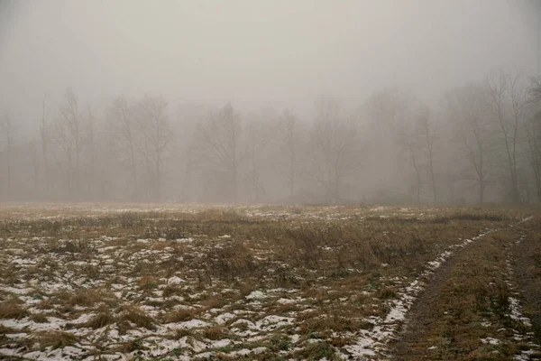 Campo Inverno Prato Marrone Nebbioso — Foto Stock