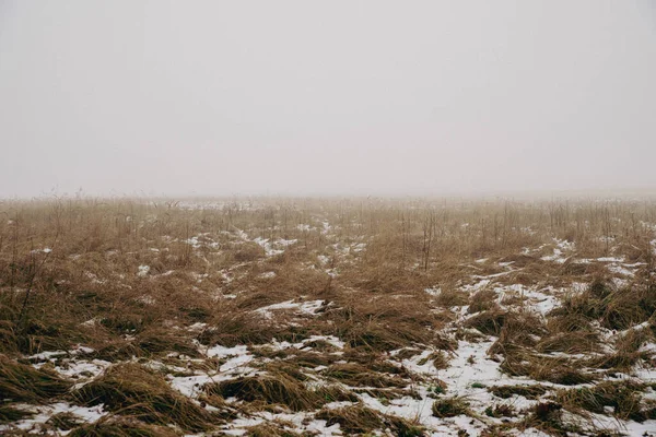 Поле Зимой Коричневый Луг Туман — стоковое фото