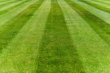 Sahada şerit kes, yeşil çim.