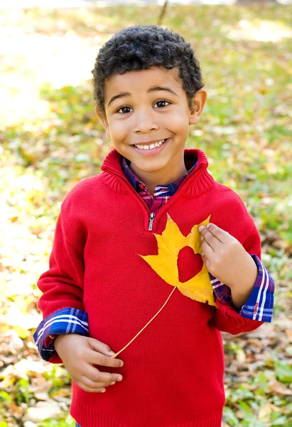 African American boy in autumn park — Stock Photo, Image