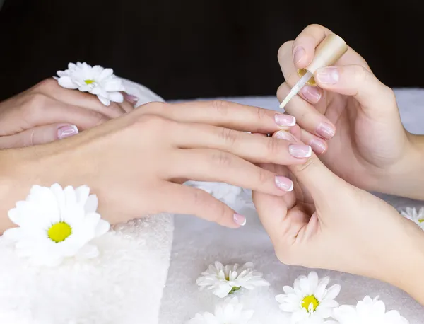 Kobieta Francuski manicure — Zdjęcie stockowe