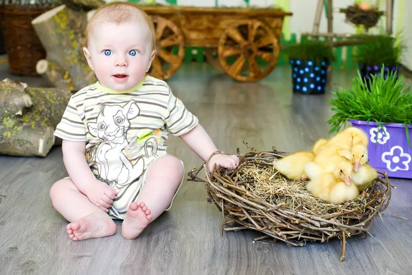 Bebê com patos — Fotografia de Stock