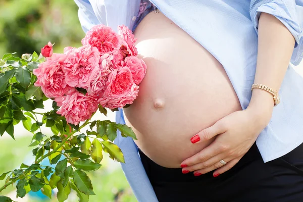 Vientre de la mujer embarazada —  Fotos de Stock