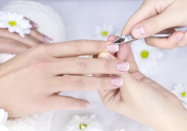 Manicure francês de mulher — Fotografia de Stock