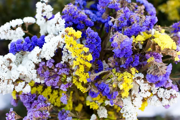 Morning bouquet of flowers — Stock Photo, Image