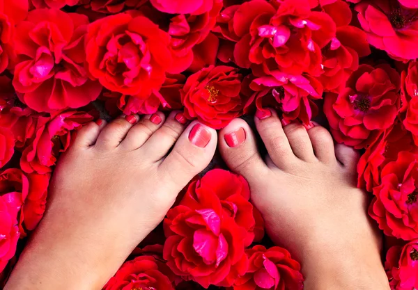 Gambe femminili tra di petali di rosa — Foto Stock