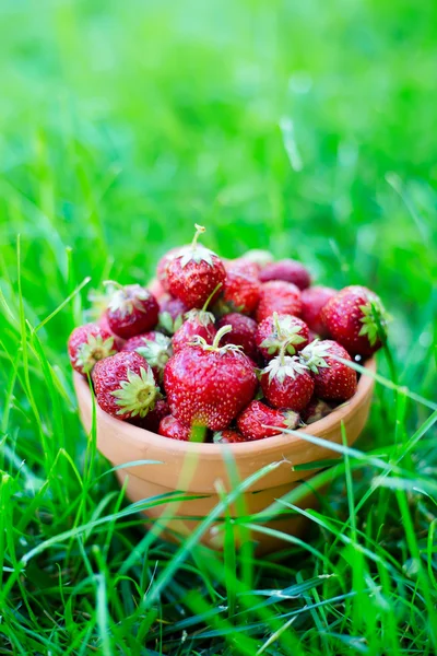 Свежие ягоды в корзине — стоковое фото