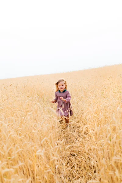BAby girl at the wheat field — Stock Photo, Image