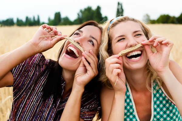 Girlfriends having fun on the field — Stock Photo, Image