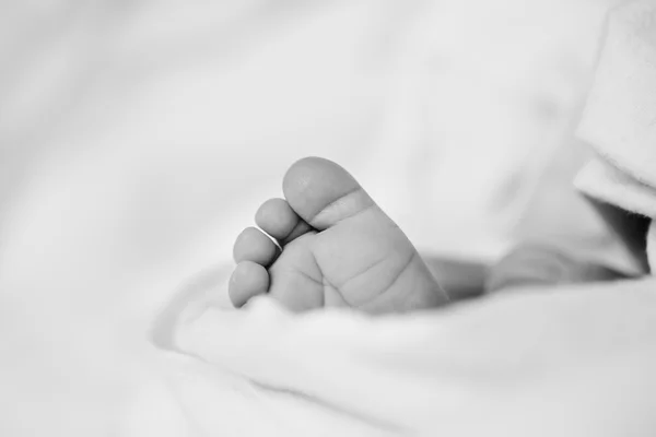 Милые детские ноги — стоковое фото