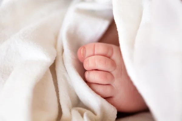 Cute baby feet — Stock Photo, Image