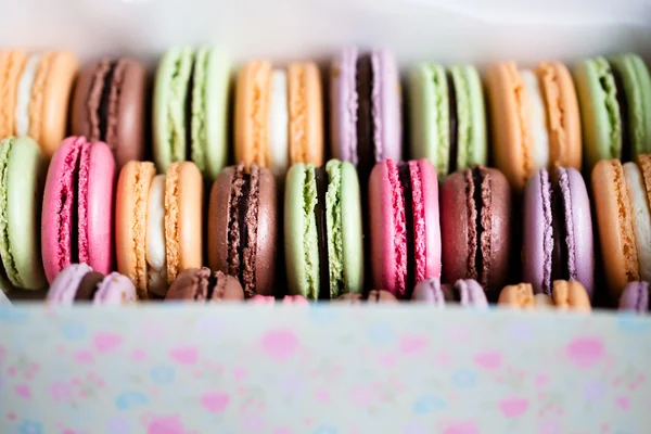 Macarons coloridos franceses tradicionais — Fotografia de Stock