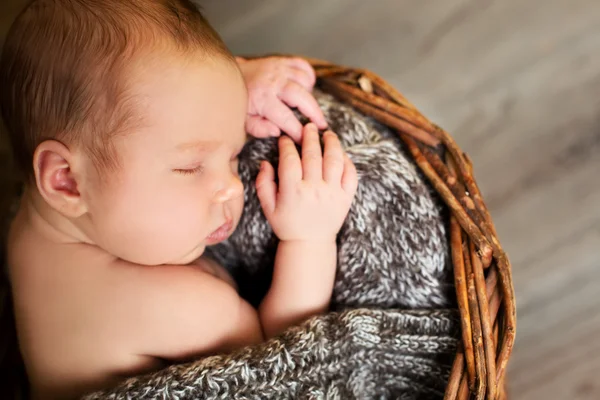 Dolce sonno bambino carino — Foto Stock