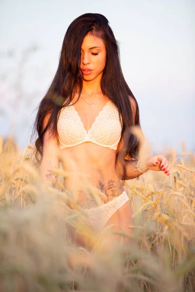 Красива Сексуальна Брюнетка Дівчина Білій Мереживній Білизні Пшеничному Полі Під — стокове фото