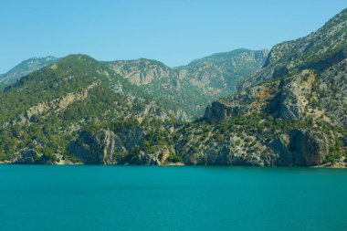 Adada ağaçlarla kaplı güzel deniz taşları
