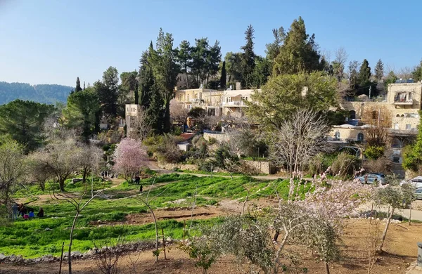 Ein Kerem Quartiere Gerusalemme Affascinante Villaggio Collinare Famoso Suoi Secolari Immagine Stock
