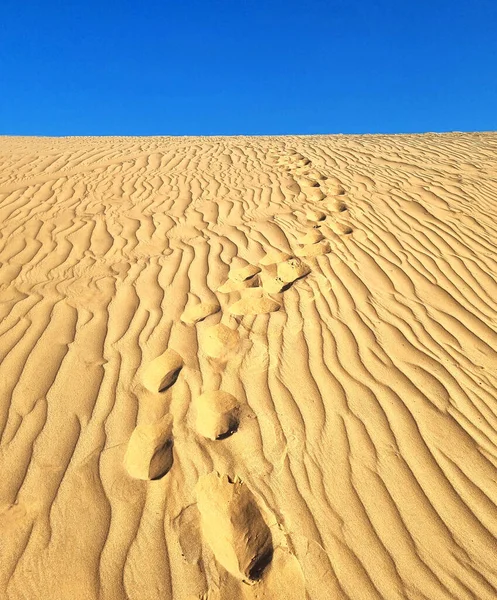 Une Dune Sable Dans Désert Qui Éclairée Par Soleil Bas — Photo