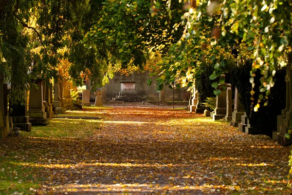 Path on a cementary in sunny day — Stock Photo, Image